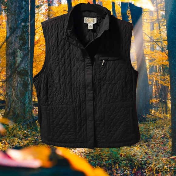 Snobbish Black Puffer Vest - Picture 1 of 4